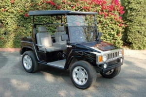 affordable golf cart rental, golf cart rent el paso